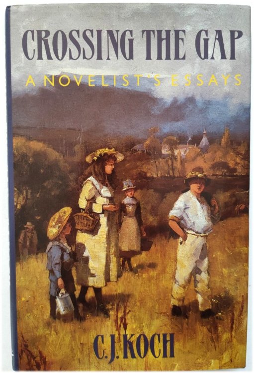 Crossing the Gap: A Novelist's Essays