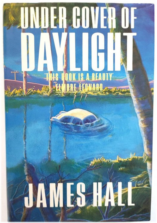 Image for Under Cover of Daylight Under Cover of Daylight