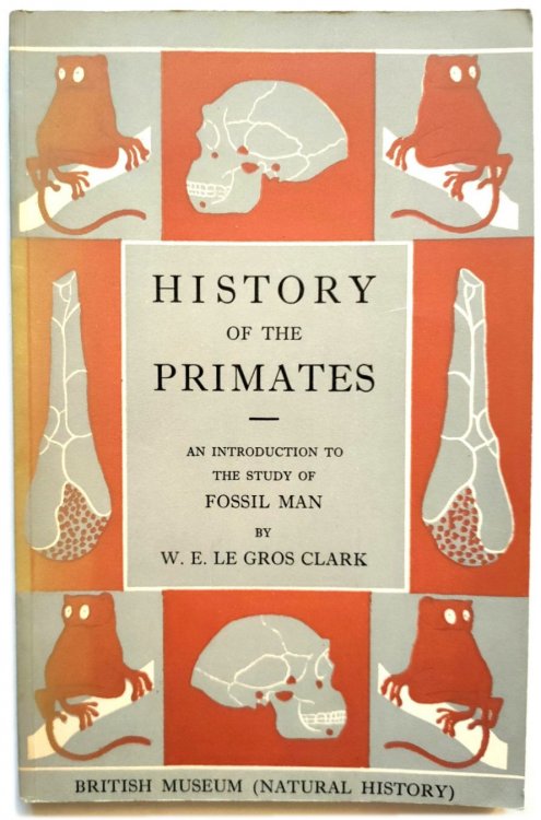 History of the Primates: An Introduction to the Study of Fossil Man