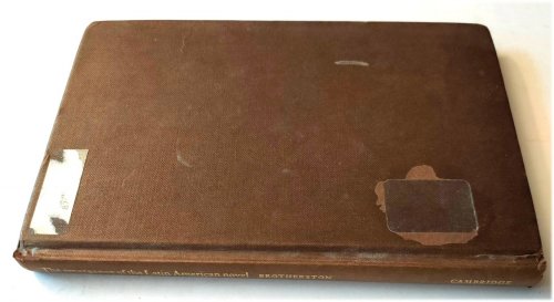 The Emergence of the Latin American Novel