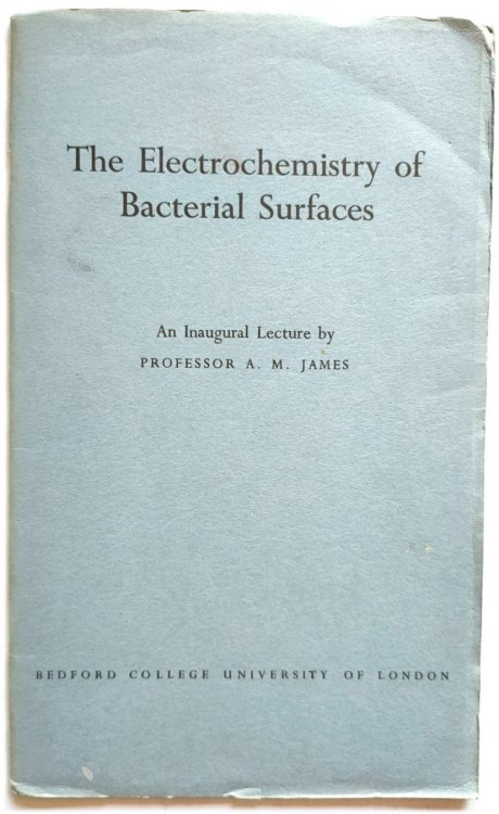 The Electrochemistry of Bacterial Surfaces