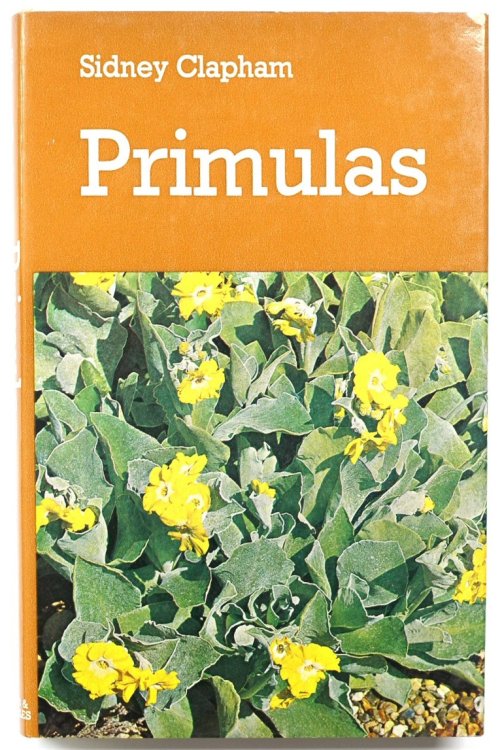 Primulas