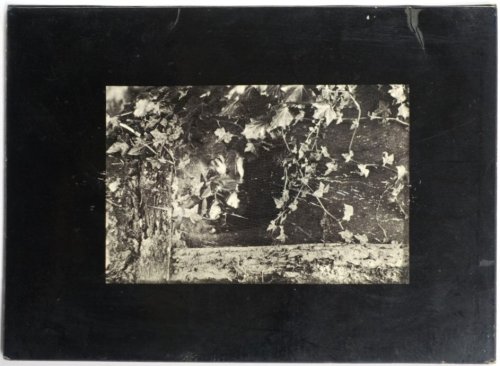 Clothes in a Museum: A Poem By Michael Pinney