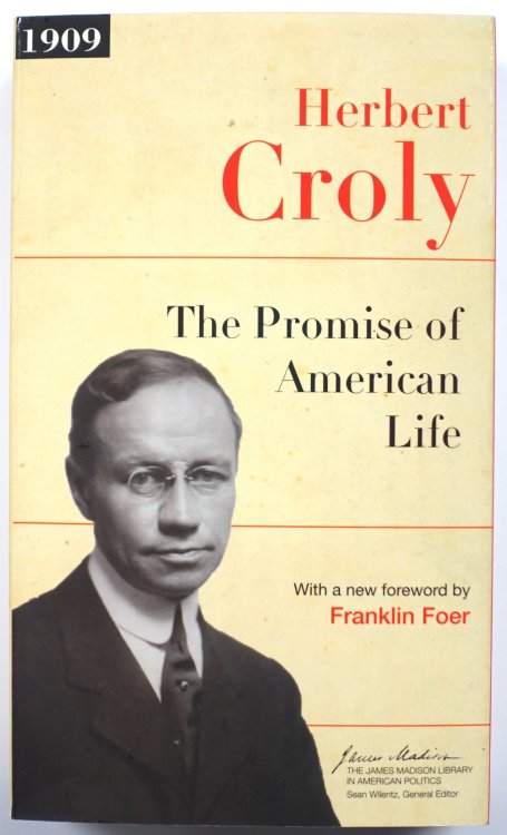 The Promise of American Life