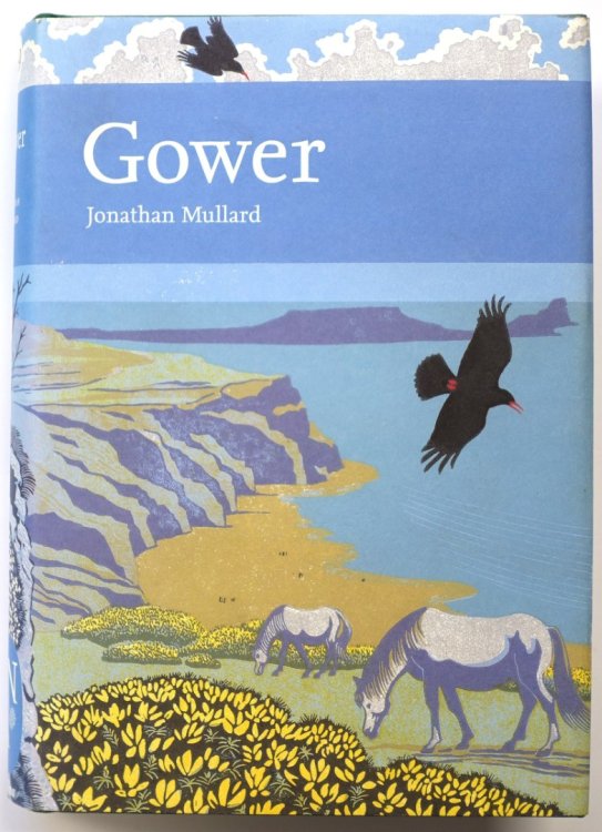 Gower (The New Naturalist No. 99)
