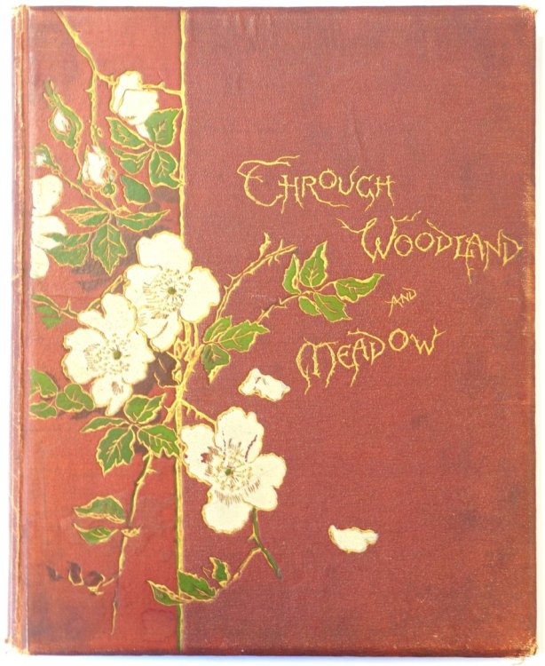 Through Woodland and Meadow