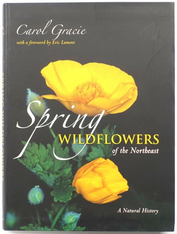 Spring Wildflowers of the Northeast