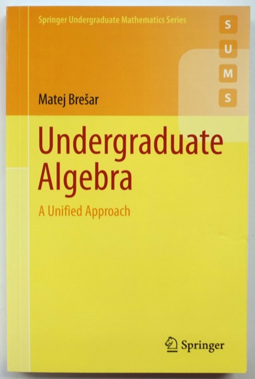 Undergraduate Algebra: A Unified Approach