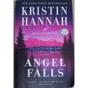 Angel Falls A Novel