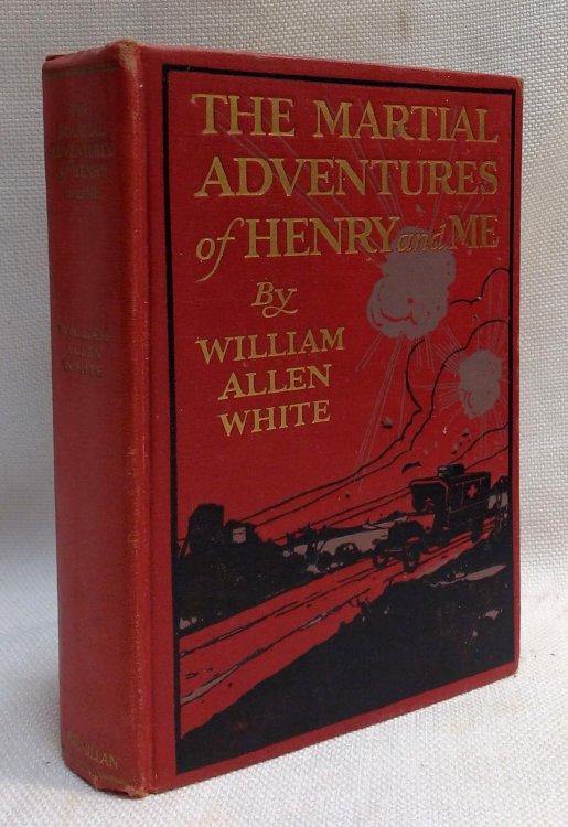 The Martial Adventures of Henry and Me