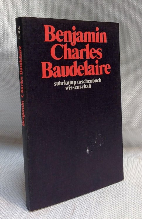 Charles Baudelaire: Ein Lyriker im Zeitalter des Hochkapitalismus