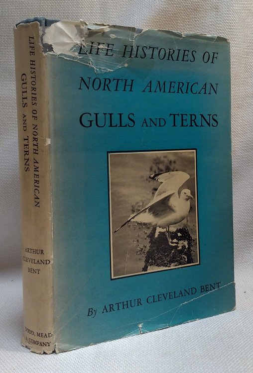 Life Histories of North American Gulls and Terns