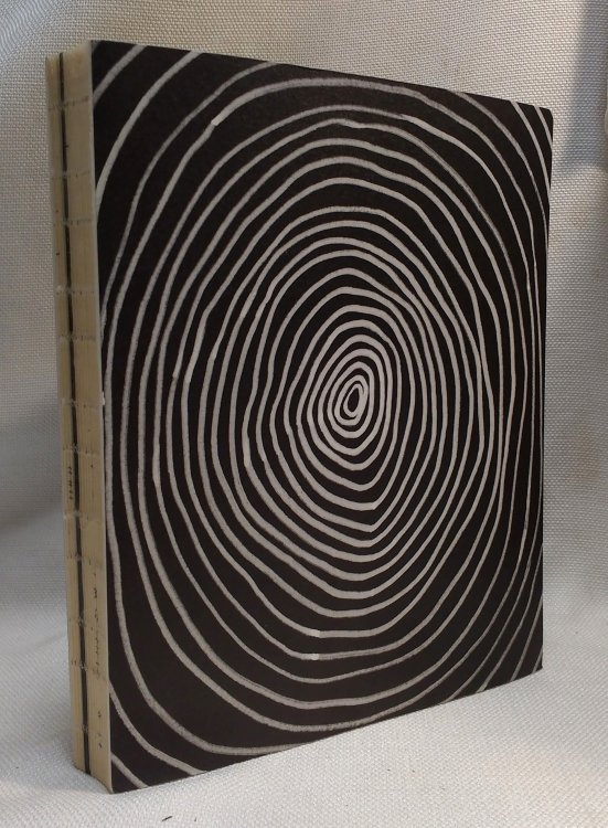 O Oposto Complementar do Infinito (Bilingual - English / Portuguese)