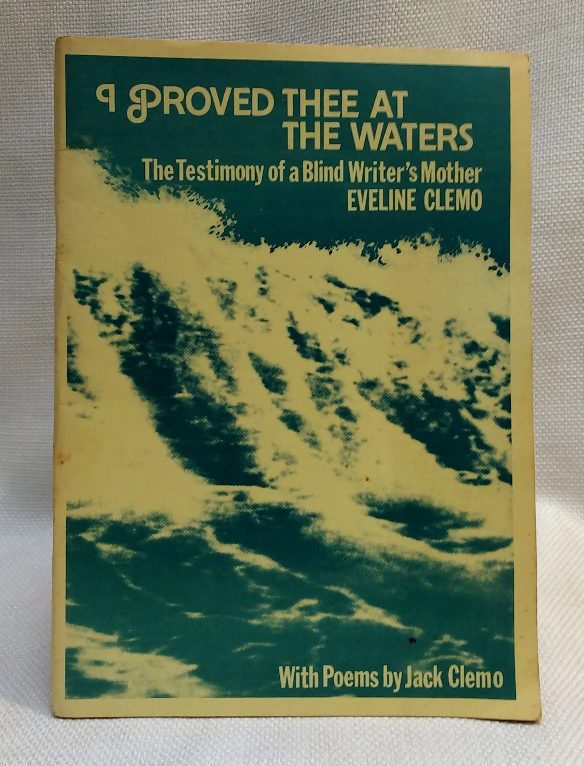 I Proved Thee at the Waters: The Testimony of a Blind Writer's Mother