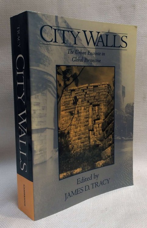 City Walls: The Urban Enceinte in Global Perspective (Studies in Comparative Early Modern History)