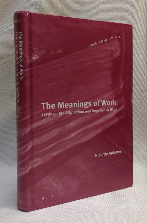 The Meanings of Work: Essay on the Affirmation and Negation of Work (Historical Materialism Book)