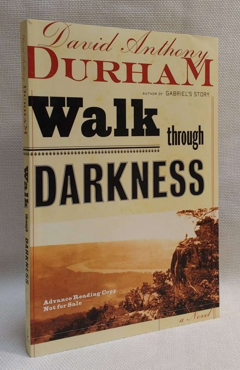 Image for A Walk Through Darkness: A Novel A Walk Through Darkness: A Novel