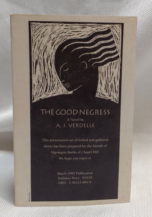 Image for The Good Negress: A Novel The Good Negress: A Novel