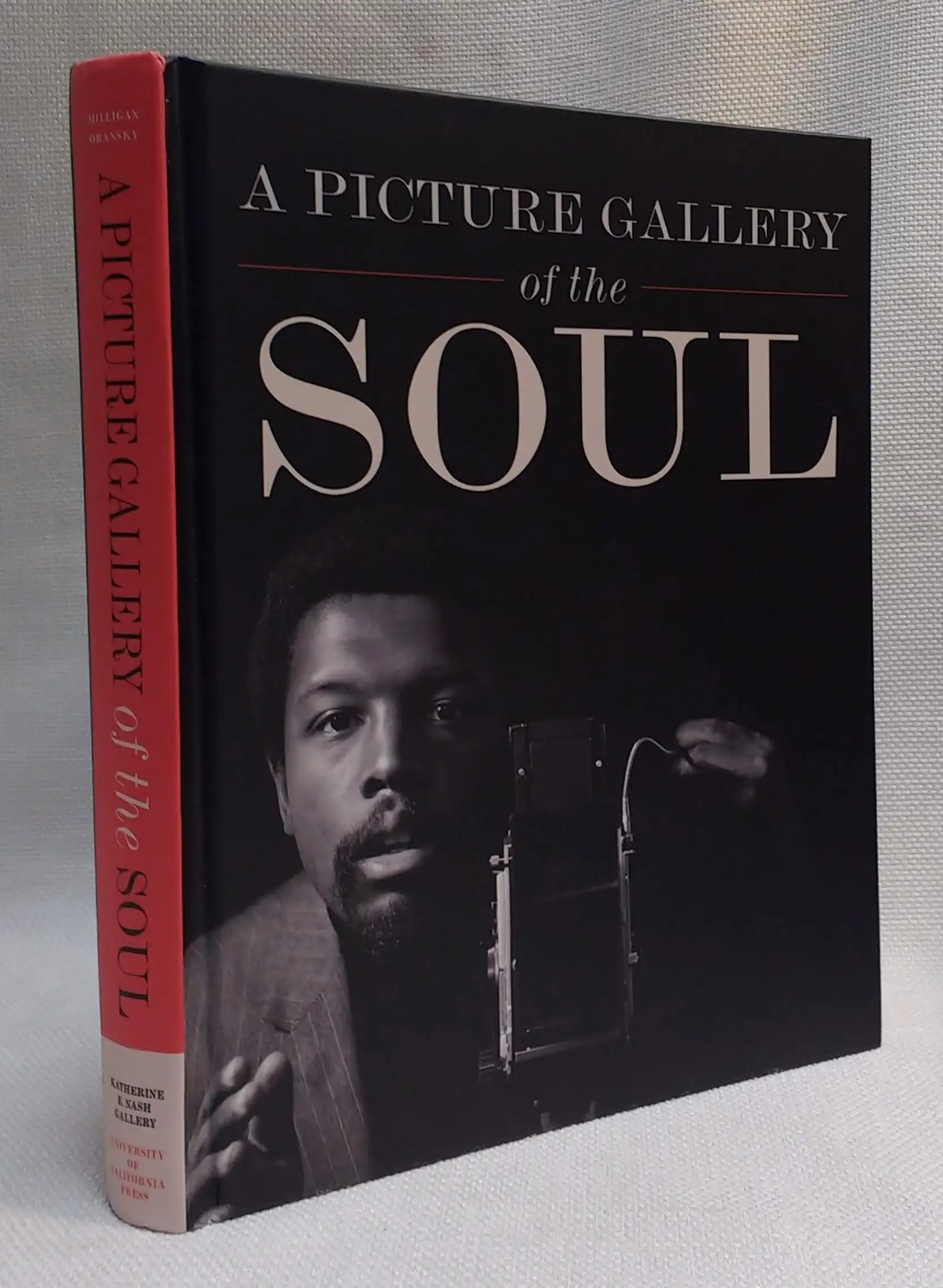 A Picture Gallery of the Soul