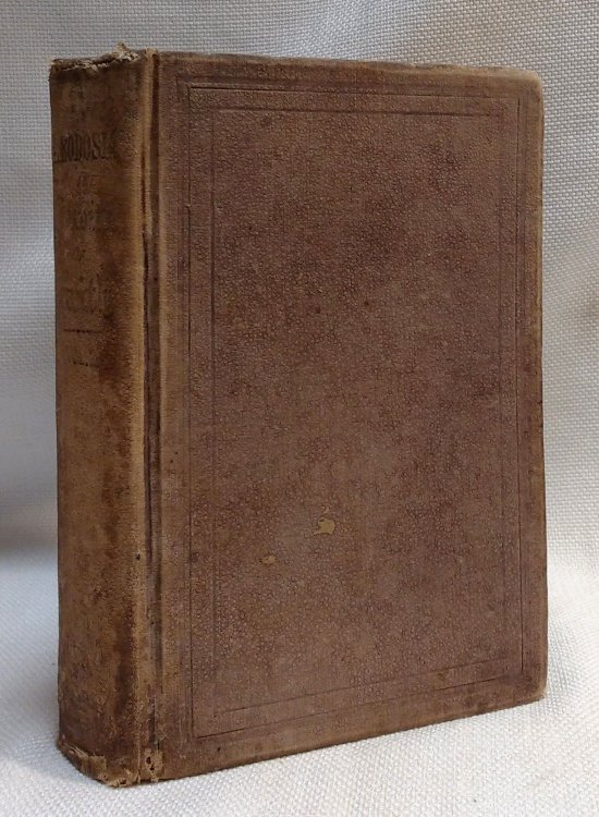 Theodosia Ernest Vollume II Ten Days Travel in Search of the Church [19th century Baptist baptism propaganda)