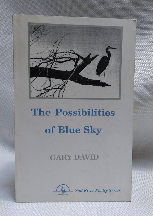 The Possibilities of Blue Sky