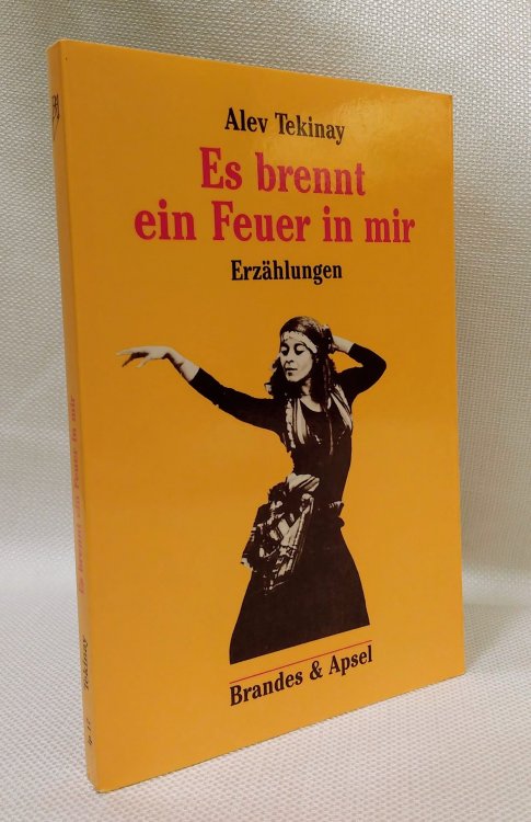 Es brennt ein Feuer in mir: Erzahlungen (Literarisches Programm) (German Edition)