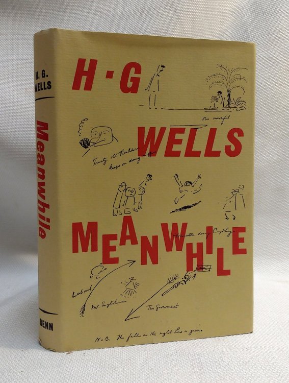 Meanwhile: The Picture of a Lady