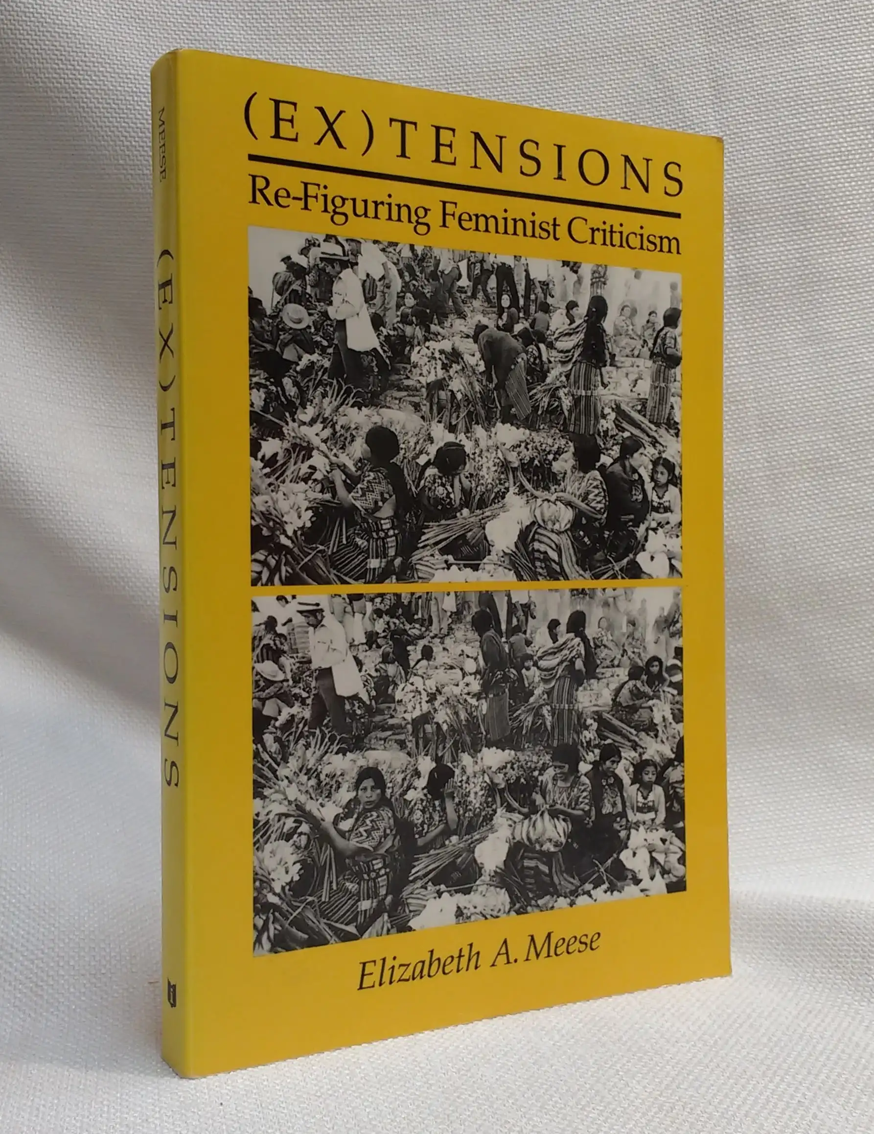 (Ex)tensions: Re-Figuring Feminist Criticism