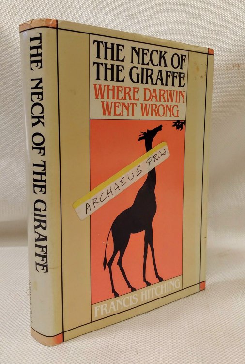 The Neck of the Giraffe