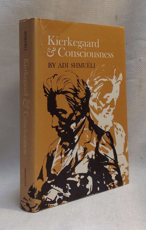 Kierkegaard & Consciousness