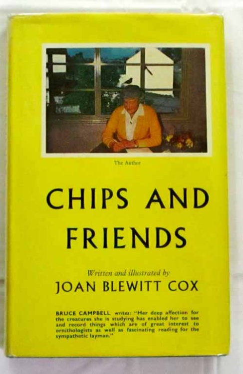 Chips and Friends