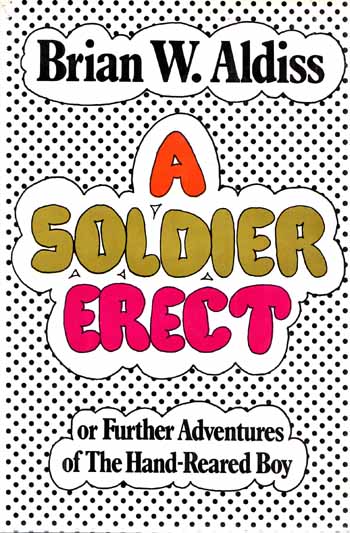A Soldier Erect or Further Adventures of The Hand-Reared Boy