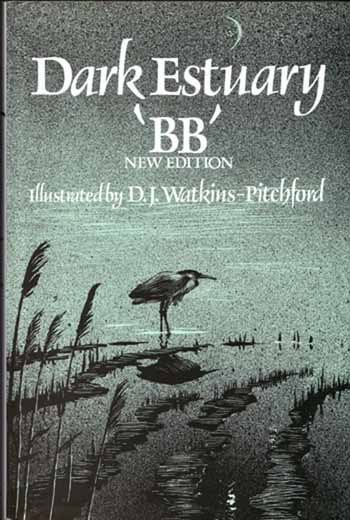 Dark Estuary