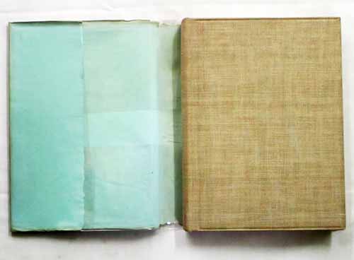 The Unknown Quantity [Limited edition]