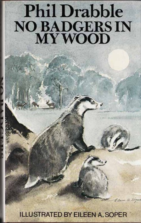 No Badgers In My Wood