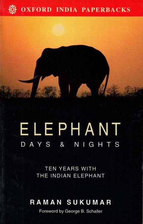 Elephant Days & Nights.