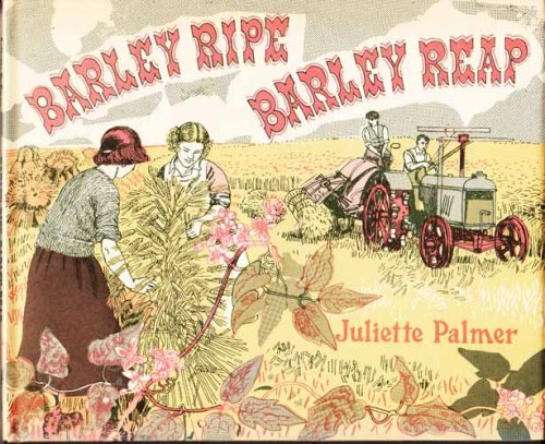 Barley Ripe Barley Reap