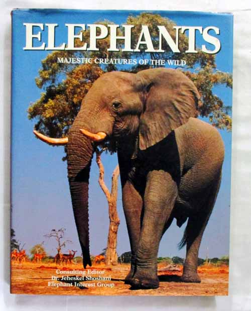 Elephants Majestic Creatures of the Wild