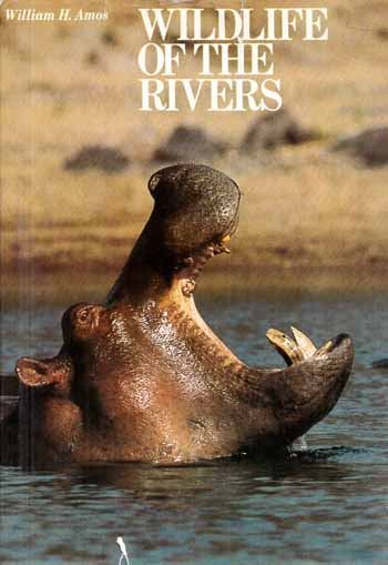 Wildlife of the Rivers