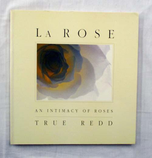 La Rose An Intimacy of Roses