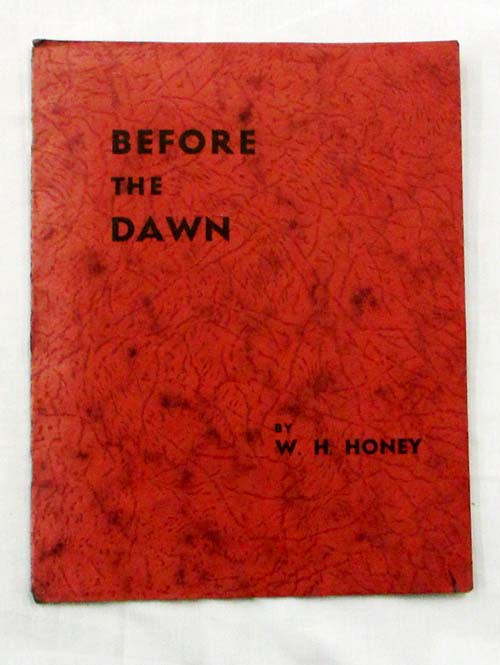 Before The Dawn