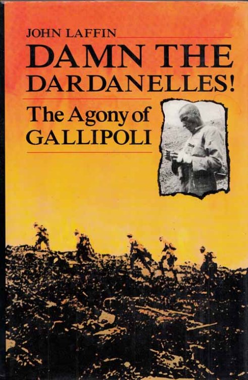 Damn the Dardanelles. The Agony of Gallipoli