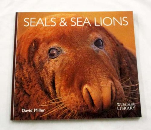 Seals & Sea Lions