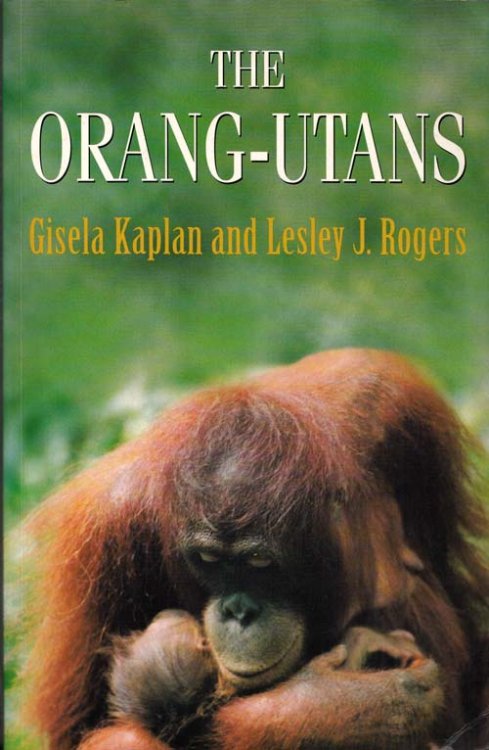 The Orang-utangs