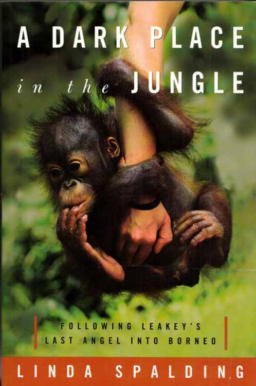 A Dark Place in the Jungle. Following Leakey's Last Angel into Borneo