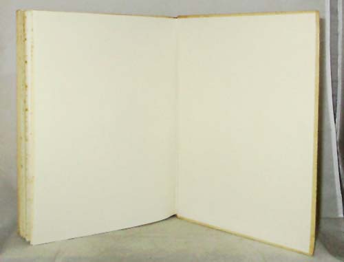 Little Ragged Blossom and more about Snugglepot and Cuddlepie