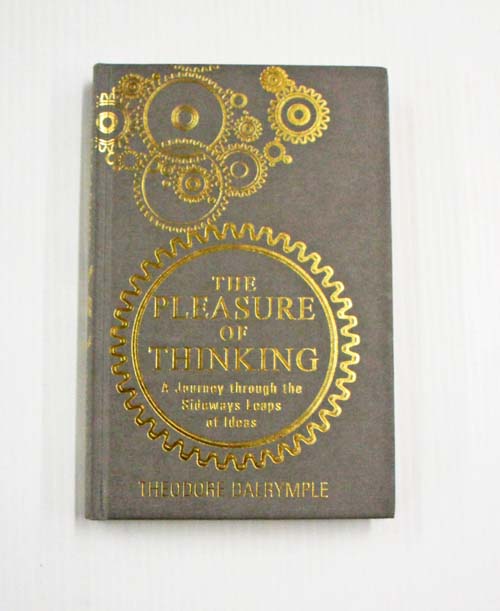 The Pleasure of Thinking A Journey through the Sideways Leaps of Ideas