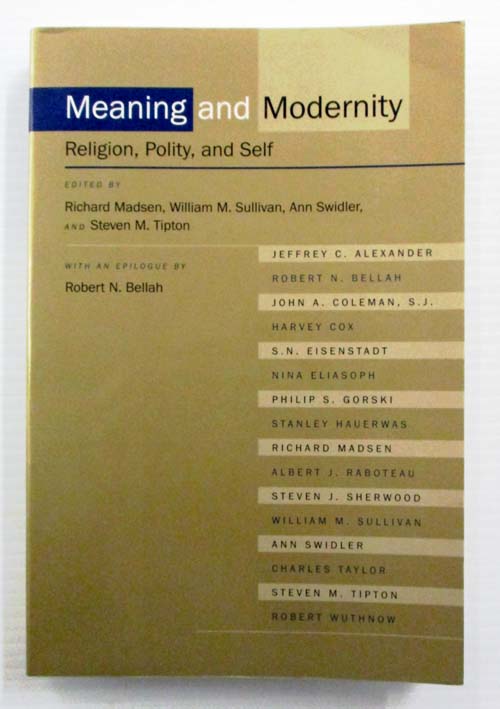 Meaning and Modernity: Religion, Polity, and Self