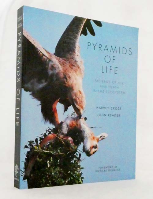 Image for Pyramids of Life Pyramids of Life