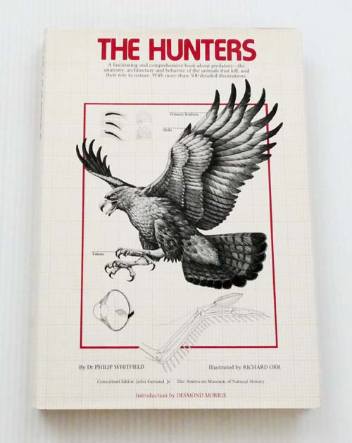 The Hunters